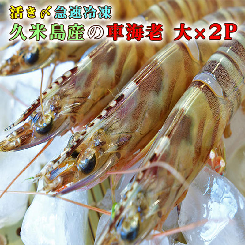 活き〆急速冷凍 久米島の車えび 大 1ｋ 24尾 500g 2p 沖縄物産品オンラ