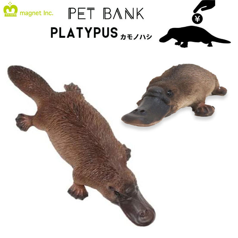 Pet Bank ペットバンク カモノハシ Platypus 動物 貯金箱 動物フィギュア リ