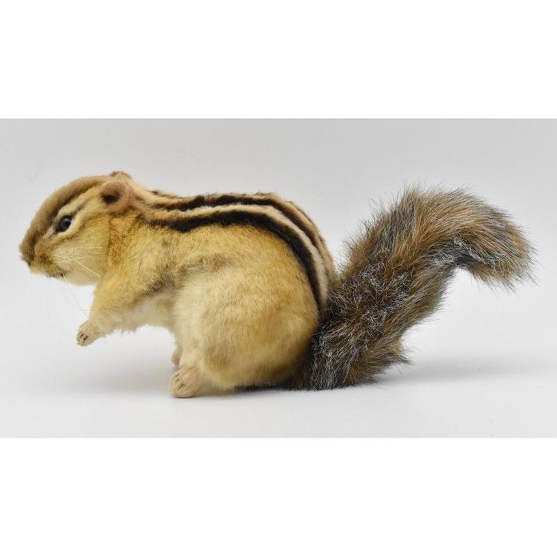 Hansa ハンサ 7843 シマリス 25 Chipmunk リアル ぬいぐるみ 動物 プレ