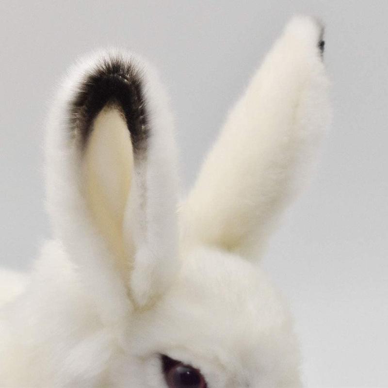 Hansa ハンサ ホッキョクウサギ 7851 うさぎ リアル ぬいぐるみ 動物 愛らしい プ
