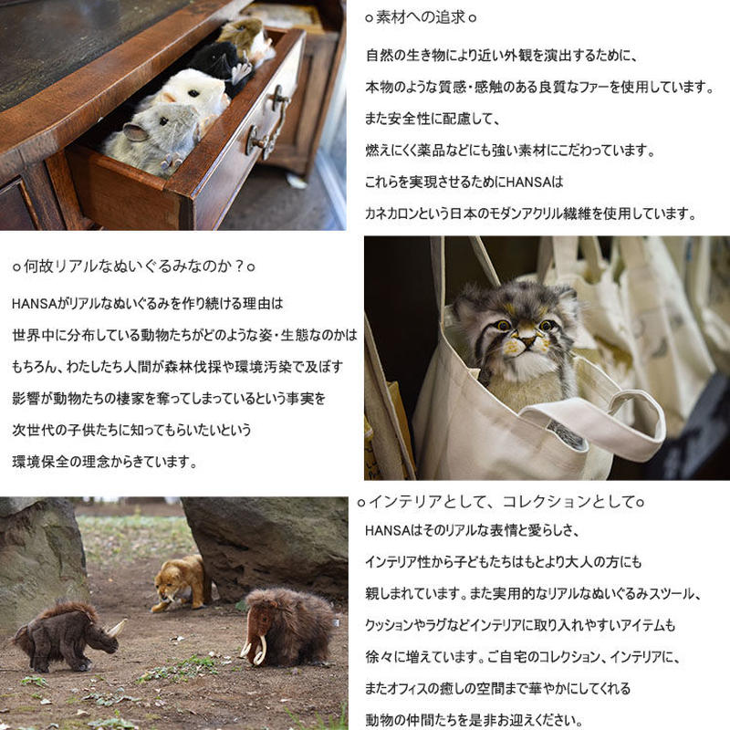 Hansa ハンサ アードウルフ 仔 7840 ハイエナ リアル ぬいぐるみ Yokano Hansa ハンサ アードウルフ 仔 7840 ハイエナ リアル ぬいぐるみ Yokano