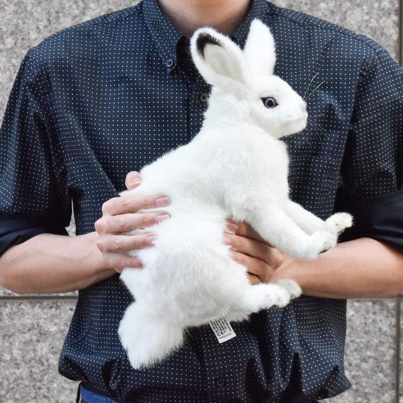 Hansa ハンサ ホッキョクウサギ 7851 うさぎ リアル ぬいぐるみ 動物 愛らしい プ