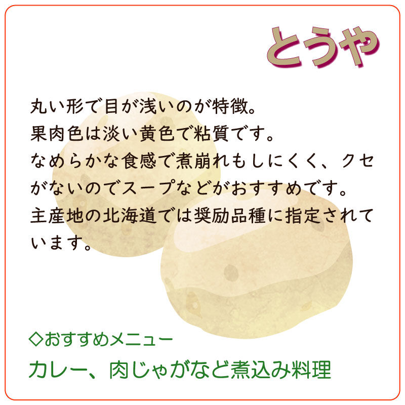 北海道産 じゃがいも とうや 約3kg 北海道旬得便