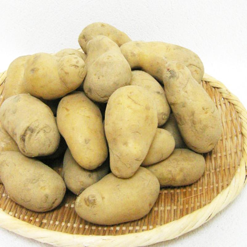 1170円 お礼や感謝伝えるプチギフト じゃがいも3kg 1170円 お礼や感謝伝えるプチギフト じゃがいも3kg