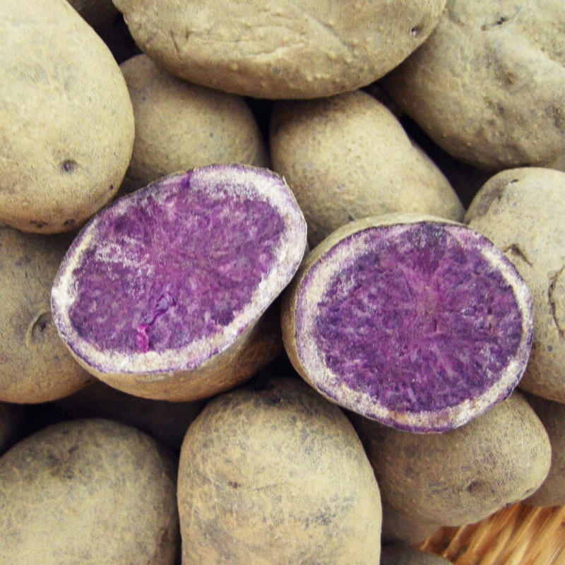 北海道産 じゃがいも シャドークイーン 約3kg 北海道旬得便