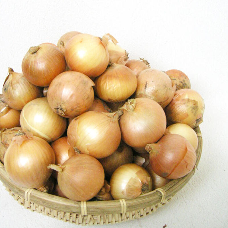 激安通販専門店 北海道産 ちょい訳有 玉ねぎsサイズ Cosycasa Co Il