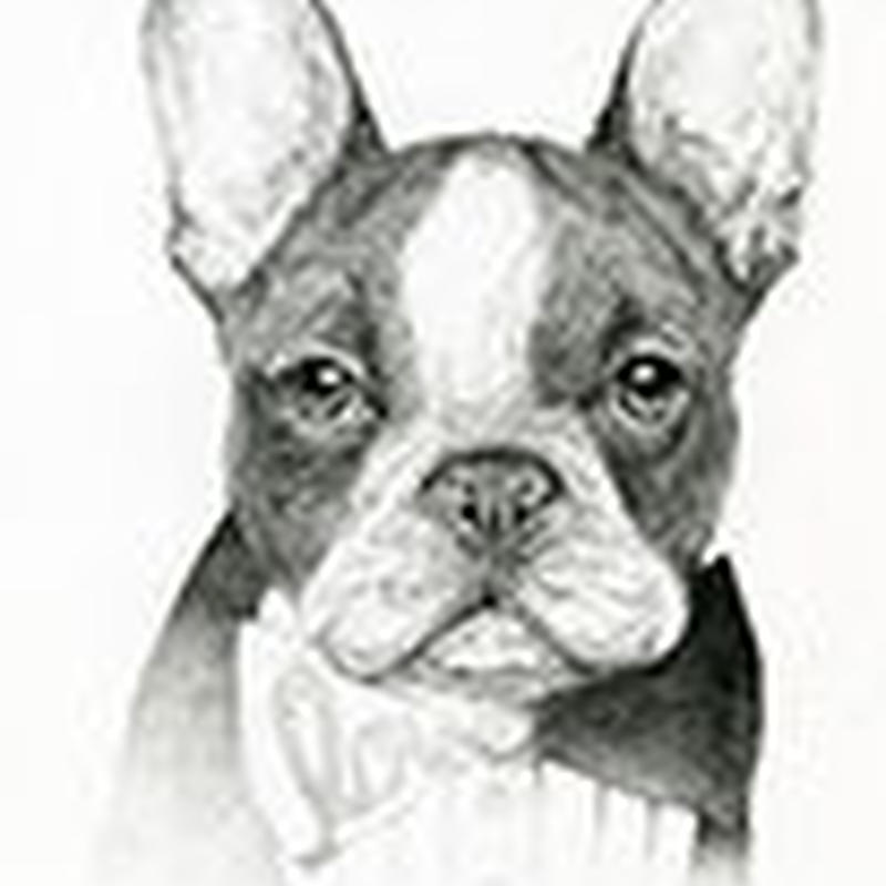 Eveさんのイラスト原画 Love フレンチブルドッグと中型犬の犬服 ビビビ