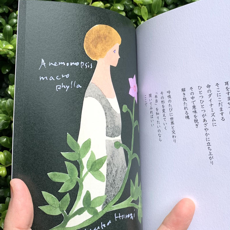 柊有花 花と言葉 Sunny Boy Books