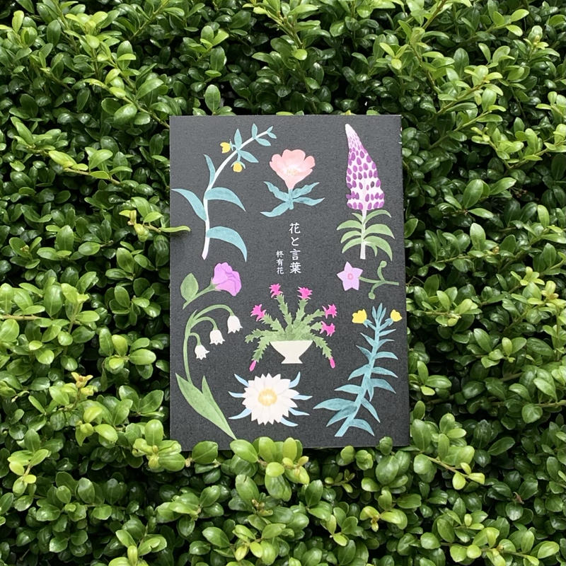 柊有花 花と言葉 Sunny Boy Books
