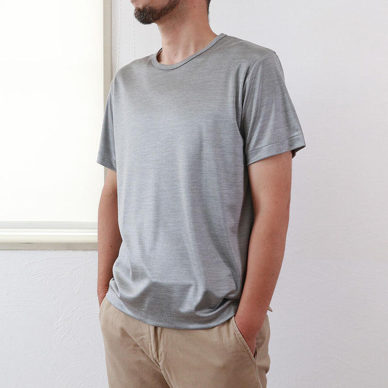 シルクインターロッククルーネックtシャツ メンズサイズ Te0633 Hasegawa