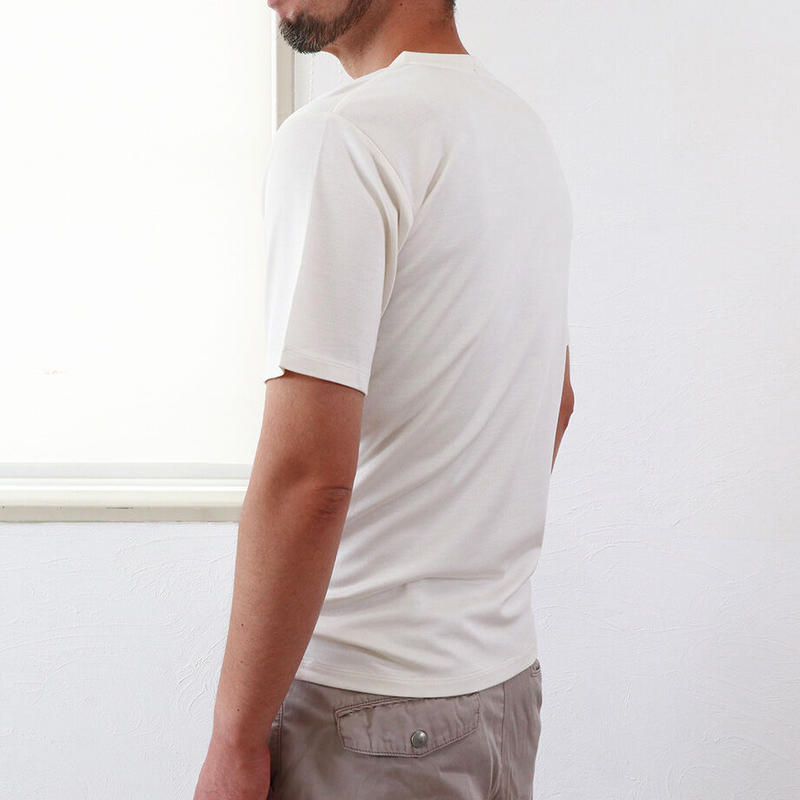 シルクインターロックvネックtシャツ メンズサイズ Te0632 Hasegawa