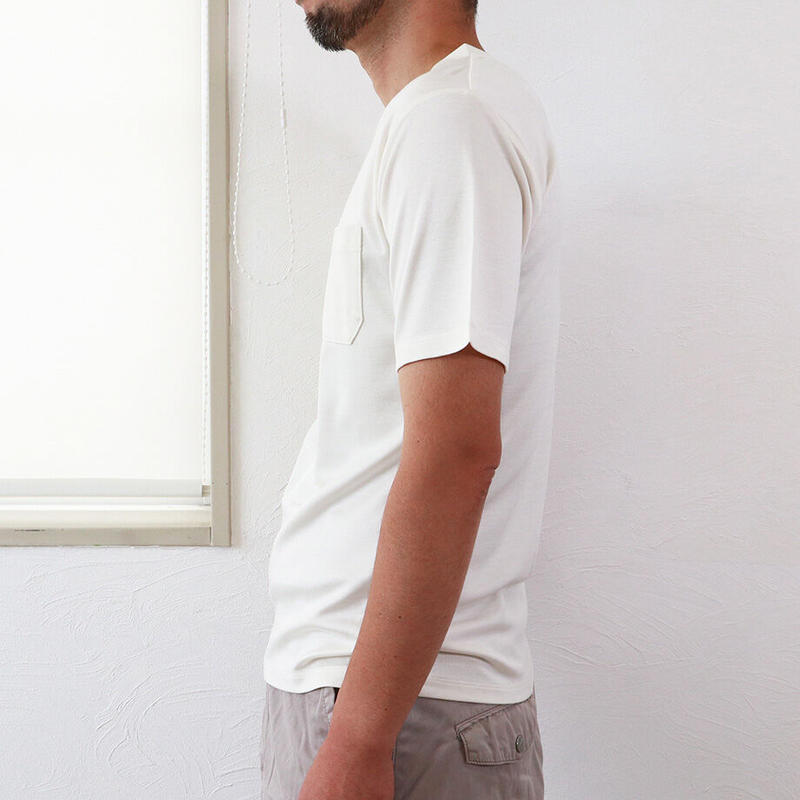 シルクインターロックvネックtシャツ メンズサイズ Te0632 Hasegawa