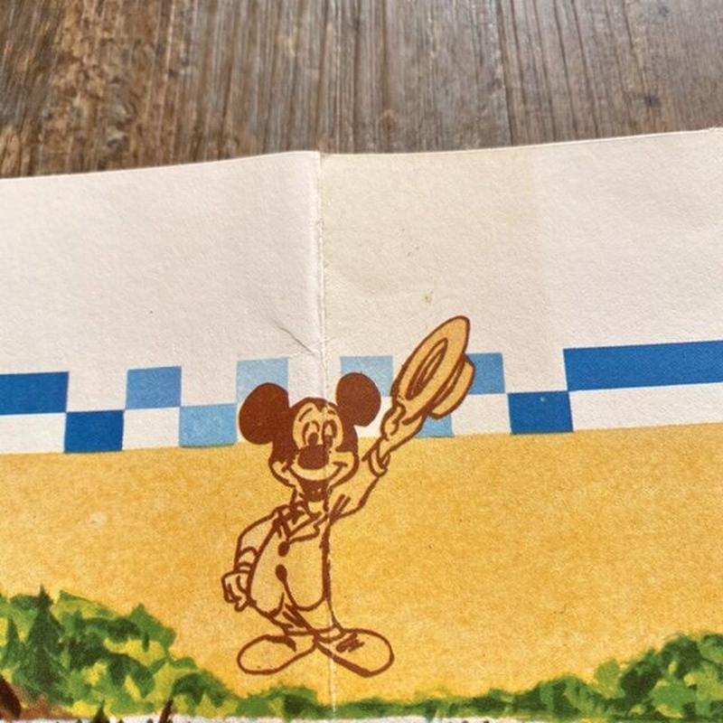 Disney Disneyland Map ディズニー ディズニーランドのマップ