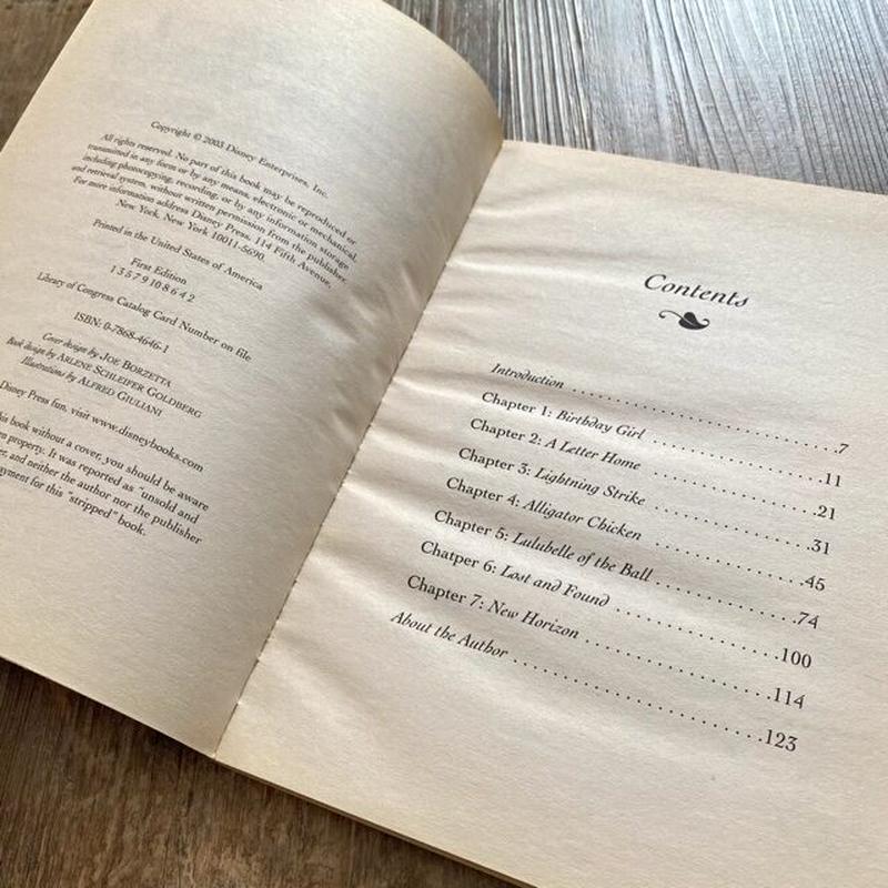 ファン向け Lizzie Mcguire Story Book リジー リジー ストーリーブ