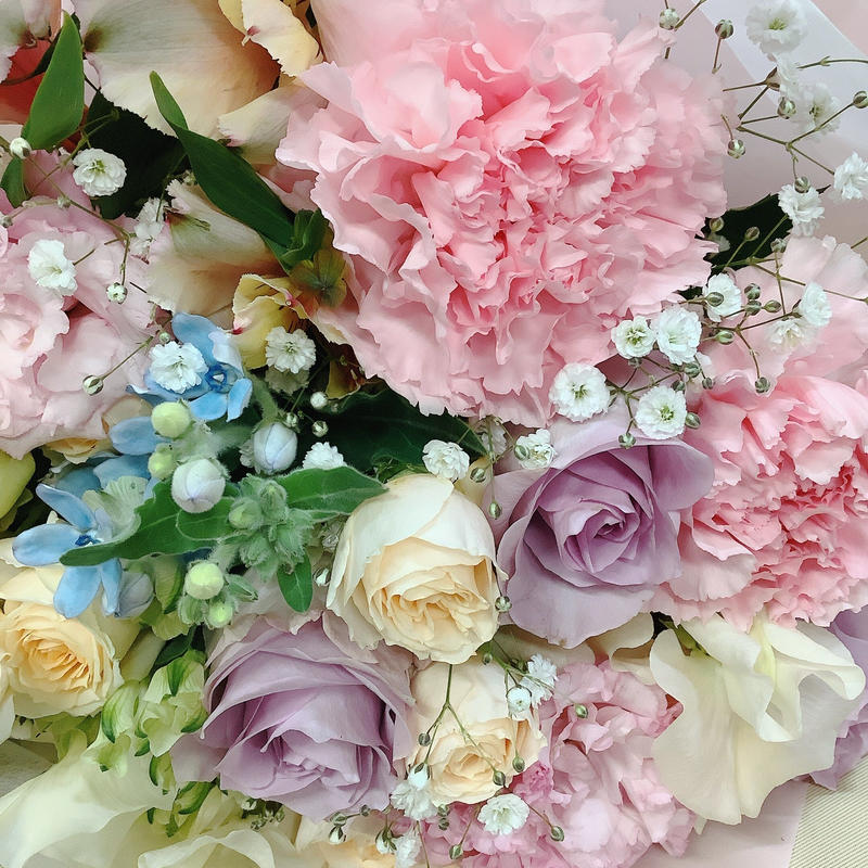 coz3tkvyjuxm coz3tkvyjuxm