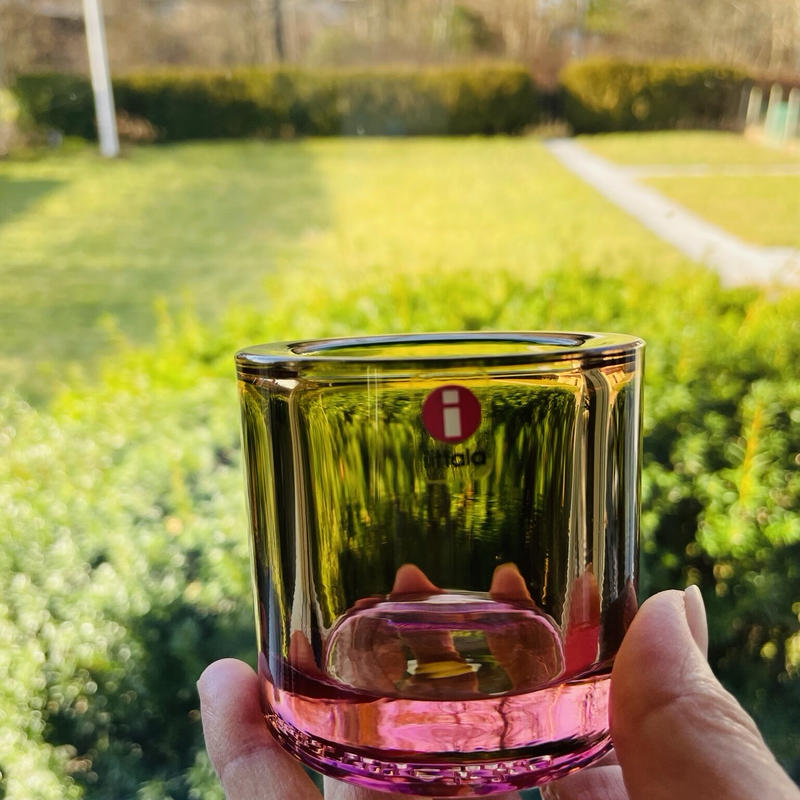 新品・未使用】iittala Kivi オリーブ scope別注