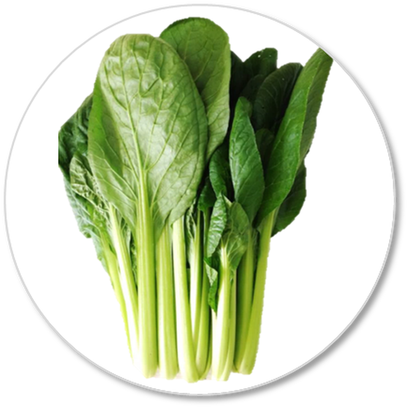 小松菜 たなべのやさい