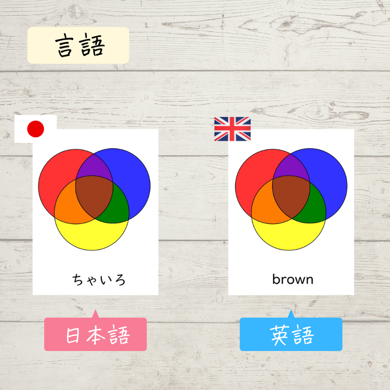 色 モンテッソーリ絵カードpdf 日本語 英語 種まき いろは