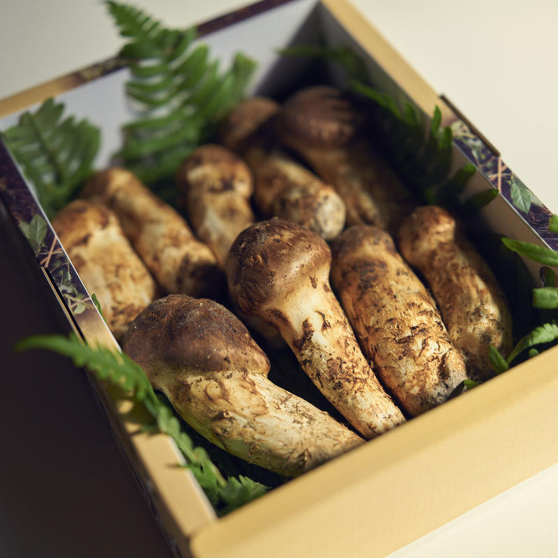 松茸　山形県産 2026年発送】山形県産「天然松茸(まつたけ)」約400g(桐箱入)_H086(R8