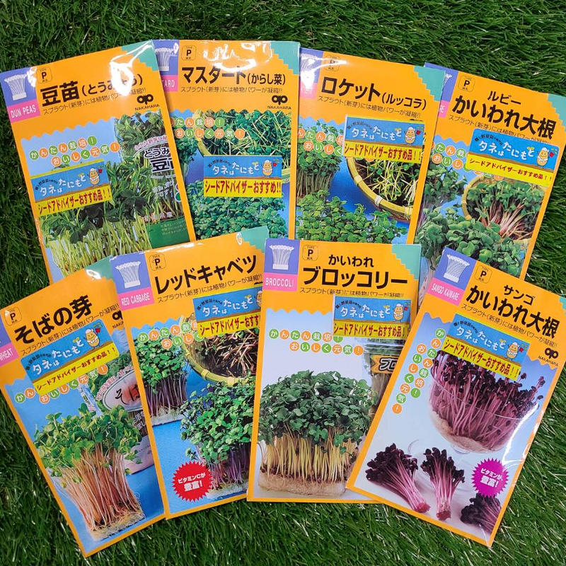 たね8種 キッチンガーデン種セット 谷本種苗園芸 Online Shop