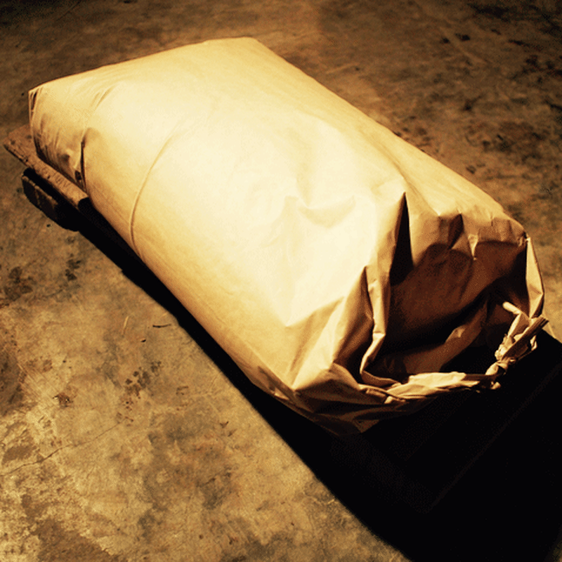 たそがれ大豆 あやこがね 5kg 農薬化学肥料不使用 たそがれ商店