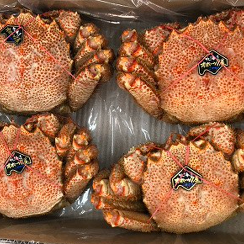 創業130年の老舗かに八の 北海道産 特大毛ガニ 800g前後 昔からのかに屋 かに八 創業130年の老舗かに八の 北海道産 特大毛ガニ 800g前後 昔からのかに屋 かに八