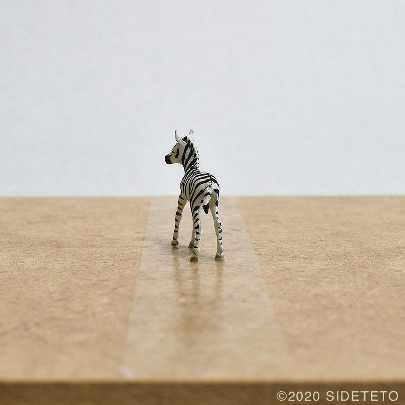 シマウマのこども Sideteto Store