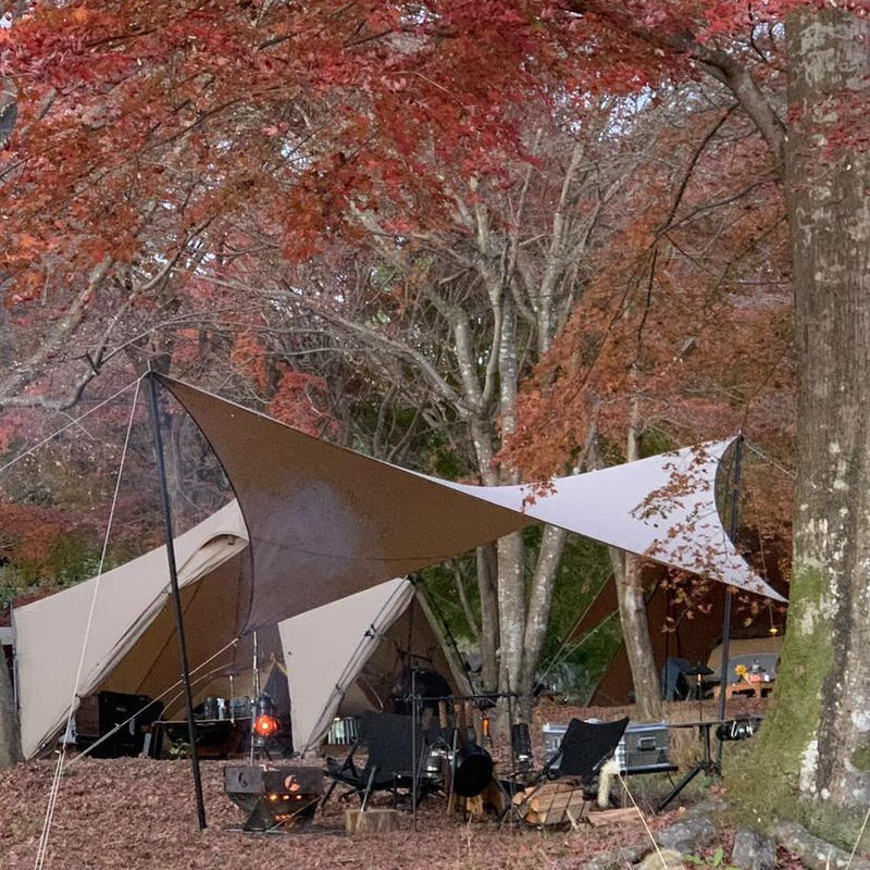 希少】Telo looks タープ ブラック当選品 廃盤 【公式通販】