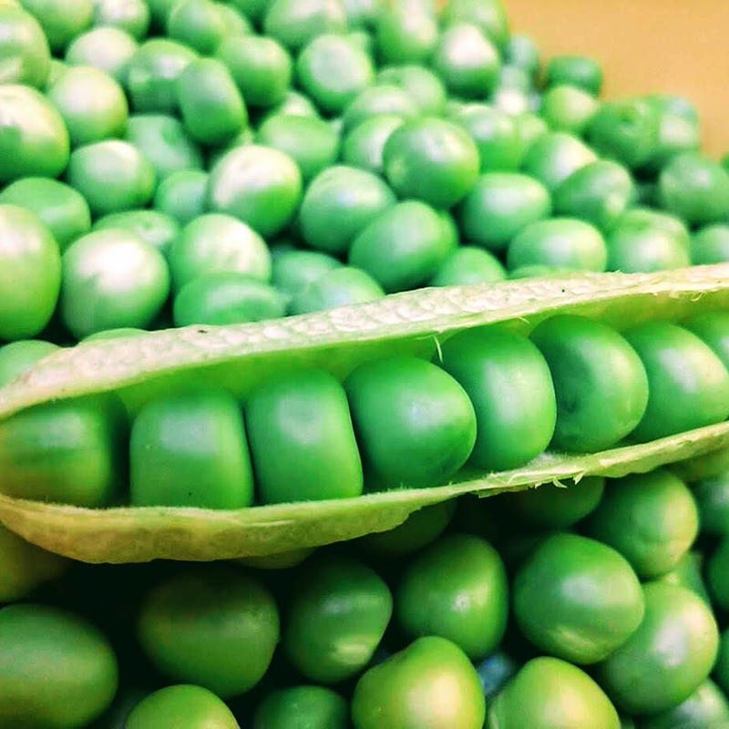 冷凍 スナップエンドウ 500g ラッピングストア