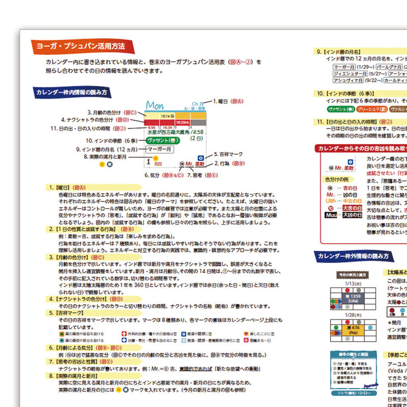 21年 インド占星術カレンダー手帳 手相占い 藍 The World