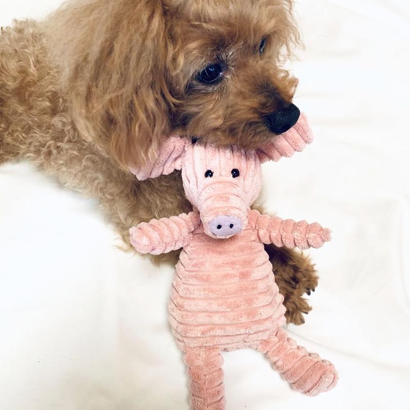 ぶたさん ひつじさん 犬のおもちゃ 愛犬用玩具 ぬいぐるみ チロル ペットストア