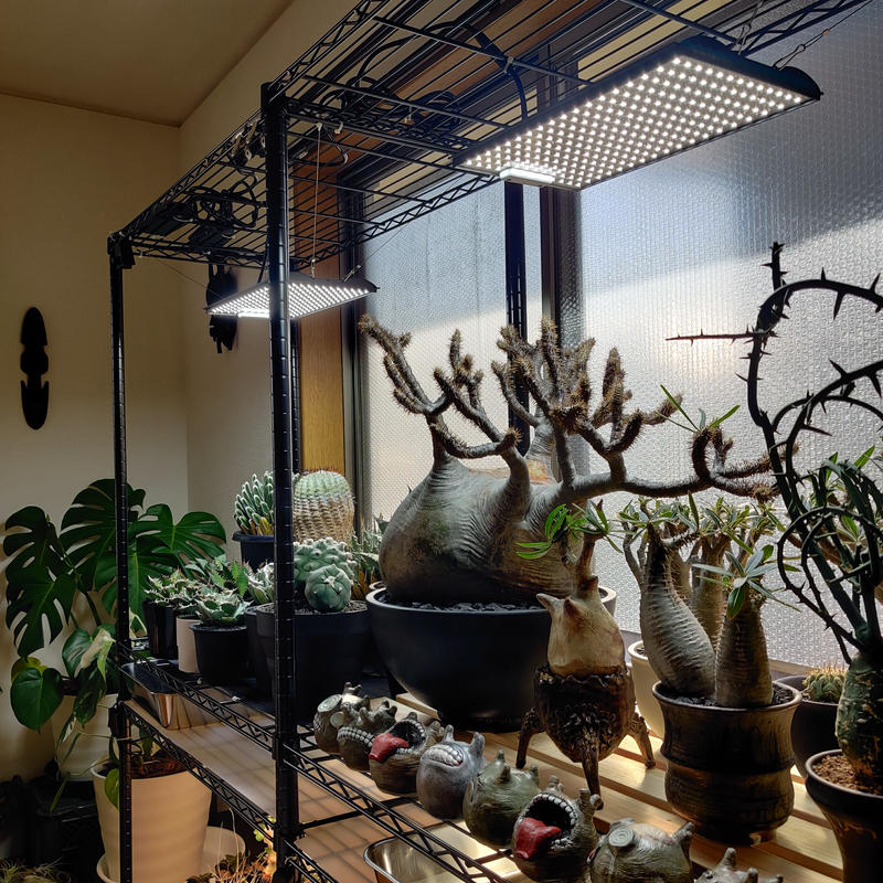 Helios Green Led Pro 植物育成ledライト2枚セット Hgp 302