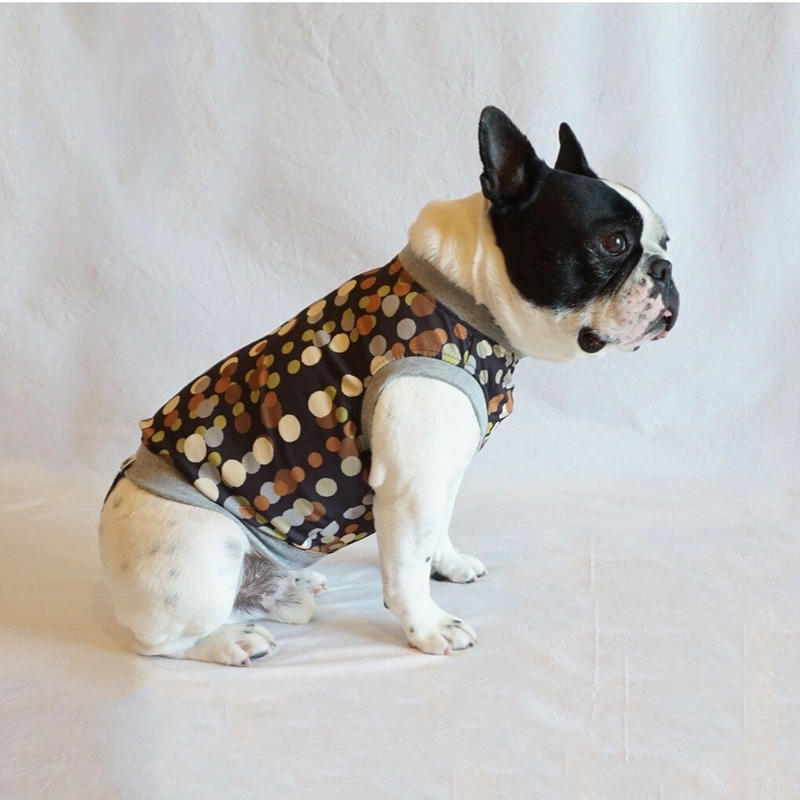departures 犬服 日本製 CROWN departures 犬服 日本製 CROWN