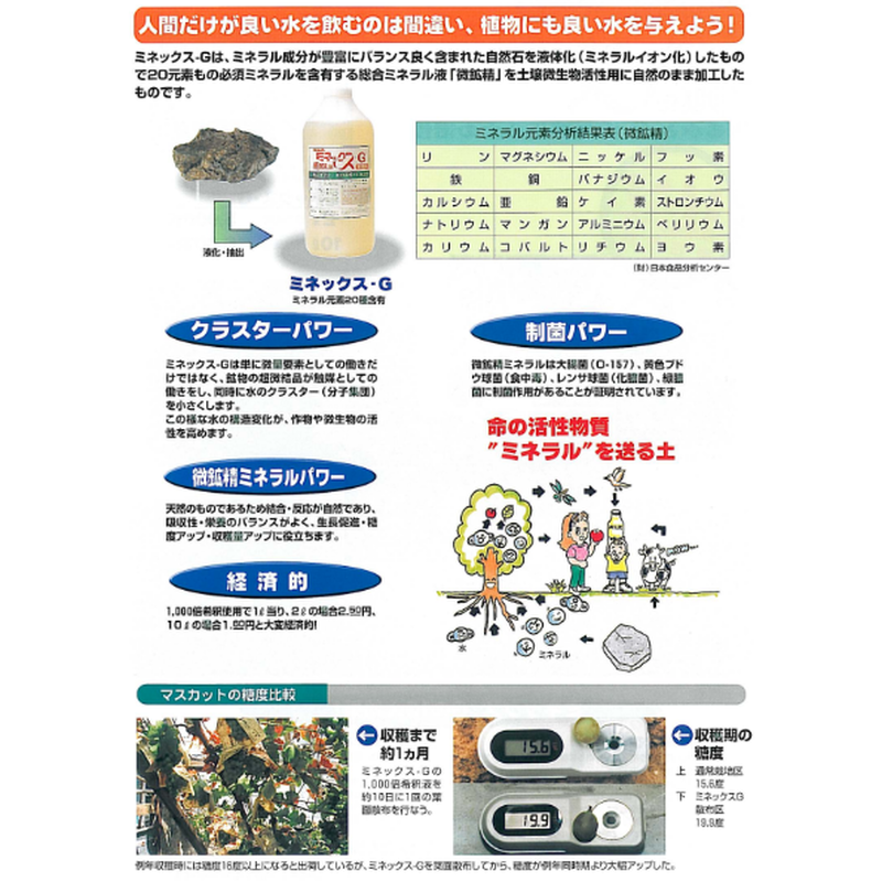 ミネックスg Toyo 都羊