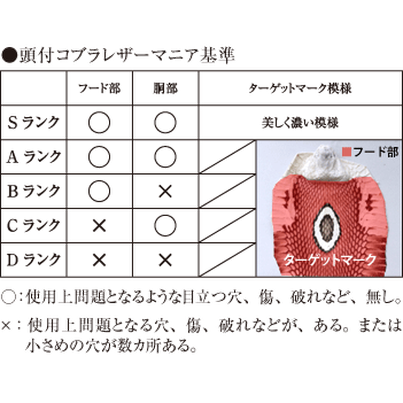 ヘビ革 頭付き コブラ オレンジ Aランク Cbr109 レザーマニア東京通販