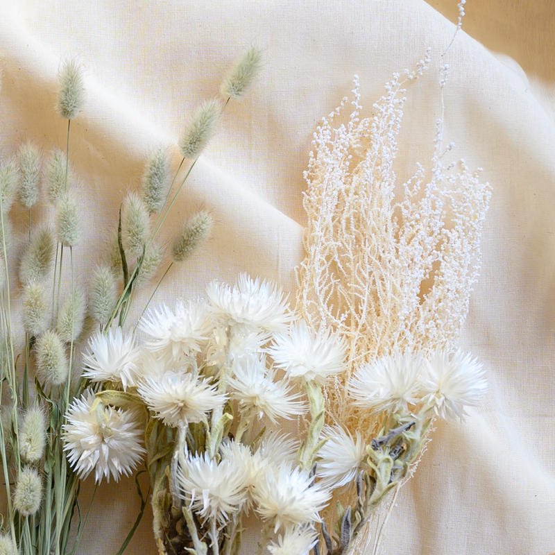 レビューを書けば送料当店負担 ドライ 東京堂 スターチス ブルー 30g Fd 005 ドライフラワー花材 その他ドライフラワー レビューを書けば送料当店負担 ドライ 東京堂 スターチス ブルー 30g Fd 005 ドライフラワー花材 その他ドライフラワー