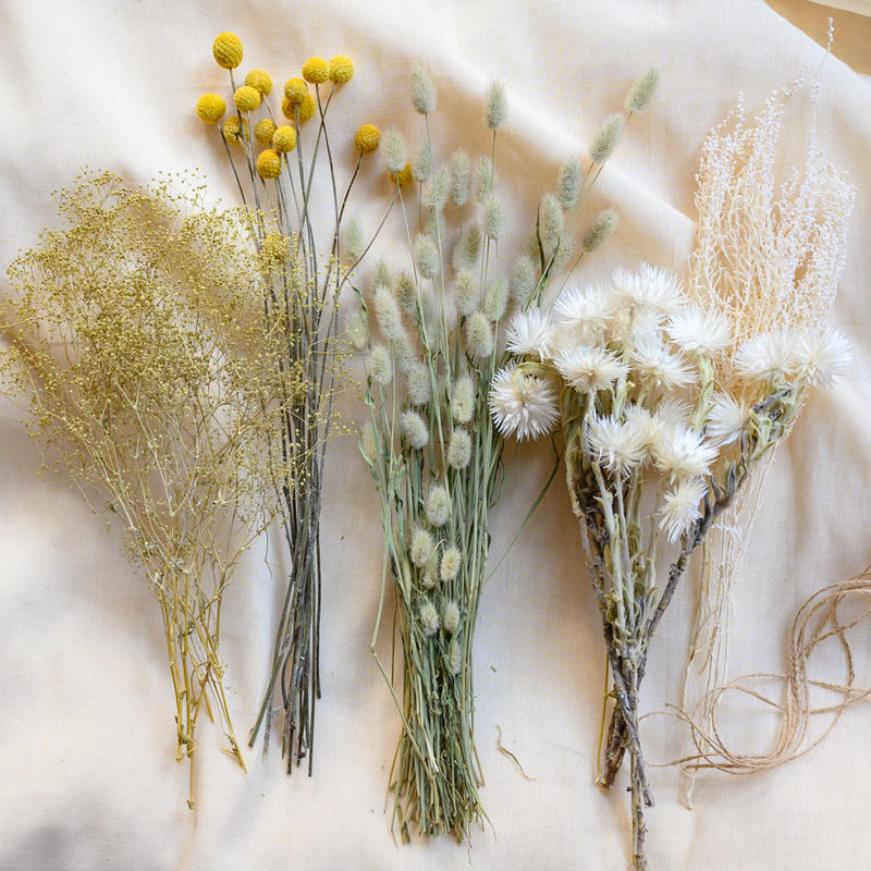 A ドライフラワー花材 Aセット Tokyo Fantastic オンラインストア