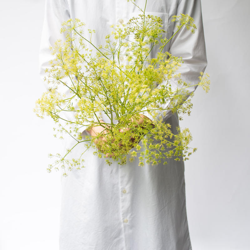 食べられるハーブの花束 Tokyo Shokubutsu Zufu