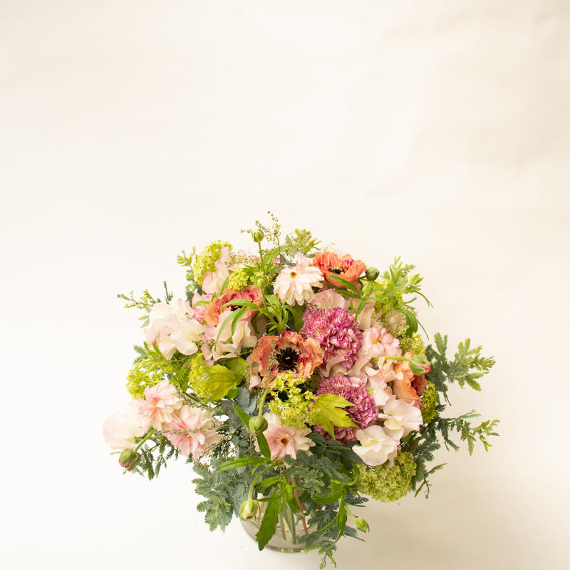 ラナンキュラス オレンジシャルロット Tokyo Shokubutsu Zufu ラナンキュラス オレンジシャルロット Tokyo Shokubutsu Zufu