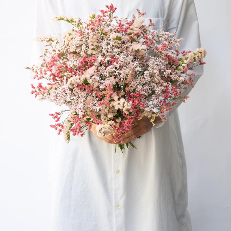 ドライフラワー リモニウム Tokyo Shokubutsu Zufu