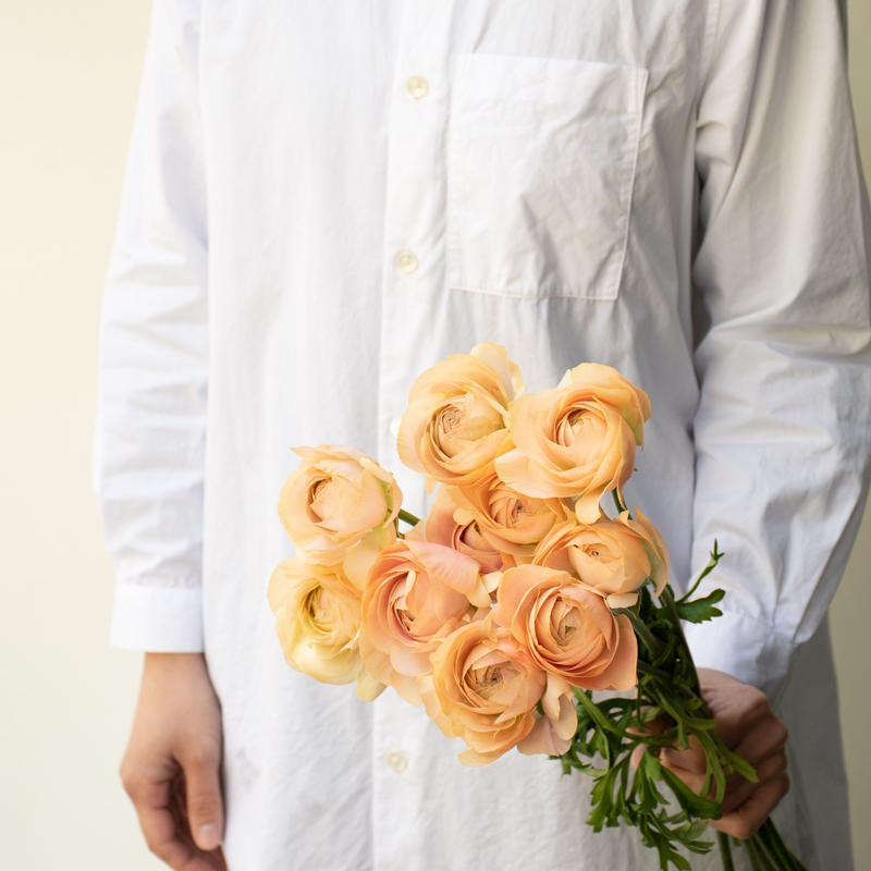 ラナンキュラス 笑美 Tokyo Shokubutsu Zufu