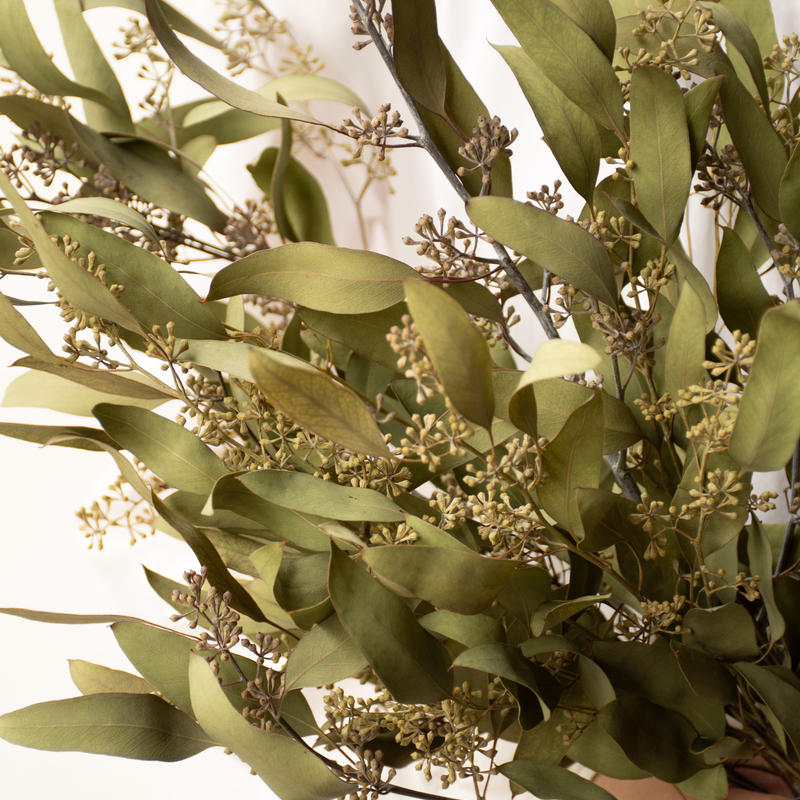 ドライフラワー ユーカリポポラス Tokyo Shokubutsu Zufu