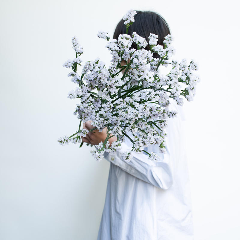 スターチス ヴィンテージグレープ サンデーアイス Tokyo Shokubutsu Zufu