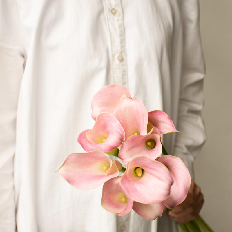 フラワースピリットのカラー Tokyo Shokubutsu Zufu