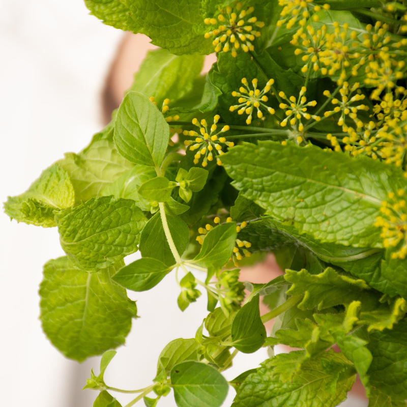 食べられるハーブの花束 Tokyo Shokubutsu Zufu
