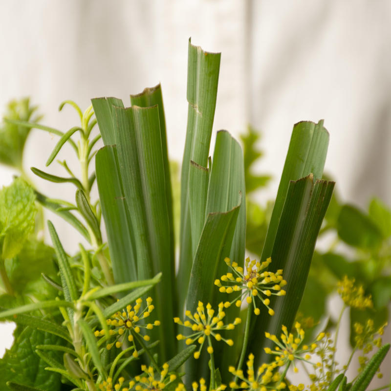 食べられるハーブの花束 Tokyo Shokubutsu Zufu