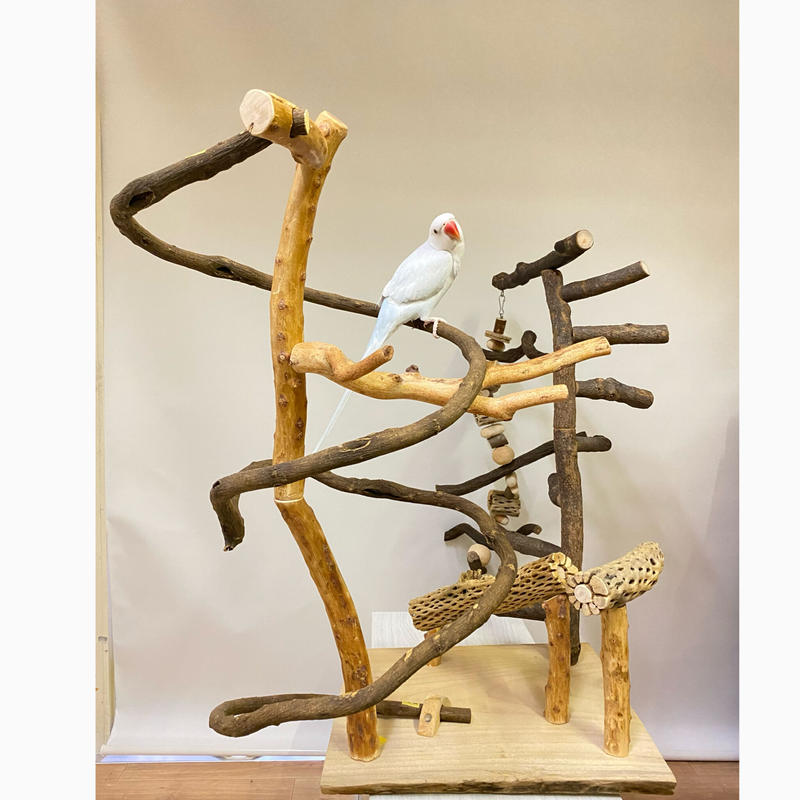 バードアスレチック バードジム コザクラインコ ボタンインコ セキセイインコ みんなで遊べる！バードアスレチック バードジム インコさんのおもちゃ