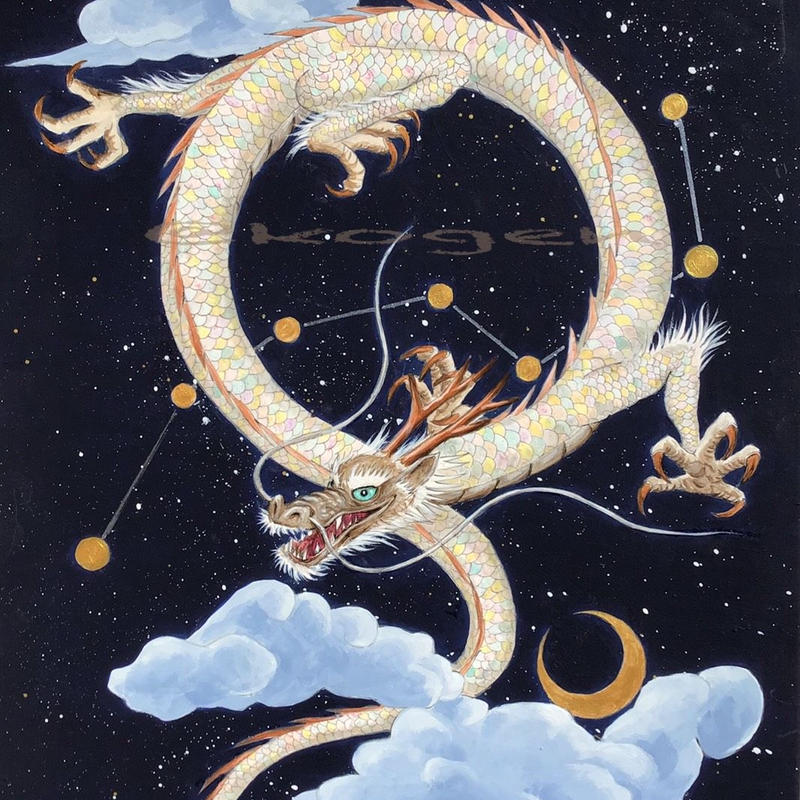 星座と月の神龍 七剣星白龍 ハガキ カード Treemethod S Store