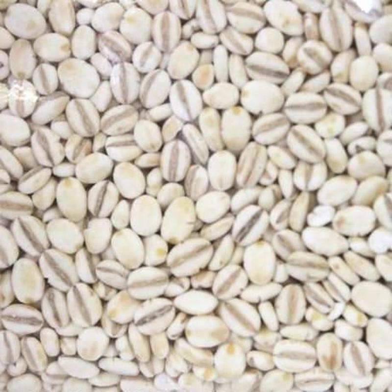 健康押麦 押し麦 旭商事株式会社