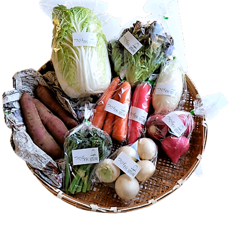 冬の野菜セット 白菜 にんじん リーフレタス 赤大根 大根 赤カブ 白カブ 茎ブロッコリー サ